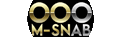 Hiraola's Footer Logo