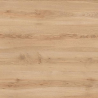 Hiraola's Product Image